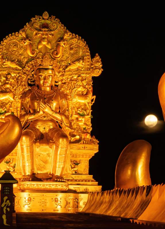 Trang chủ - Samten Hills