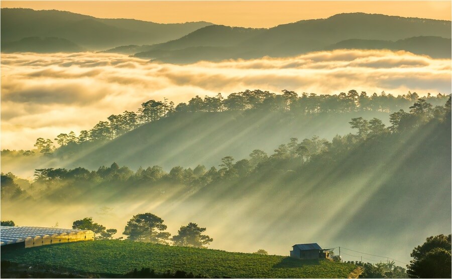 Không gian huyền diệu tựa như chốn bồng lai tiên cảnh khi săn mây tại đồi Túy Sơn.
