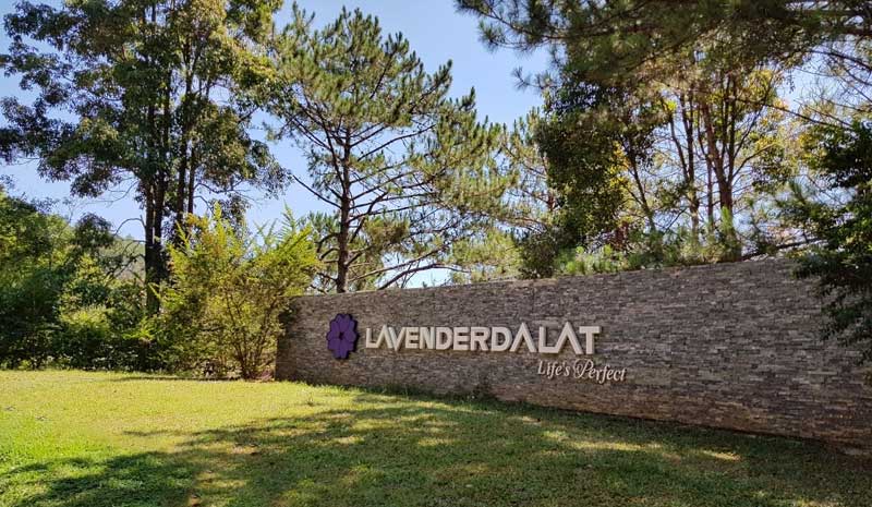 lavender-da-lat