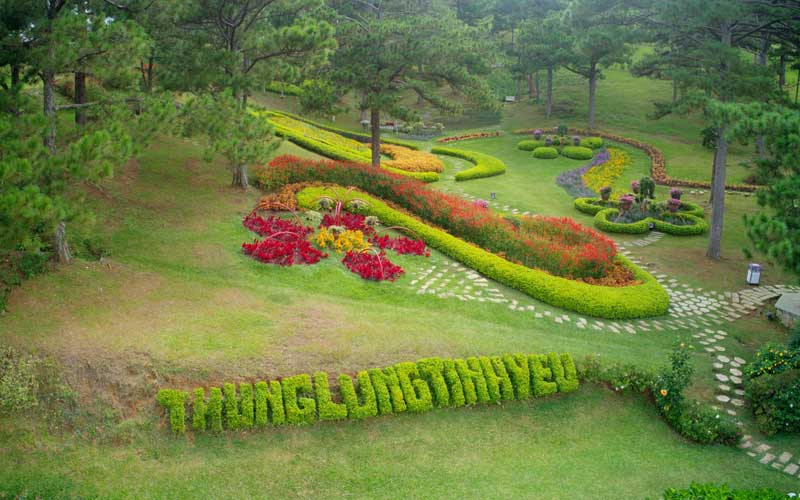 thung-lung-tinh-yeu-da-lat