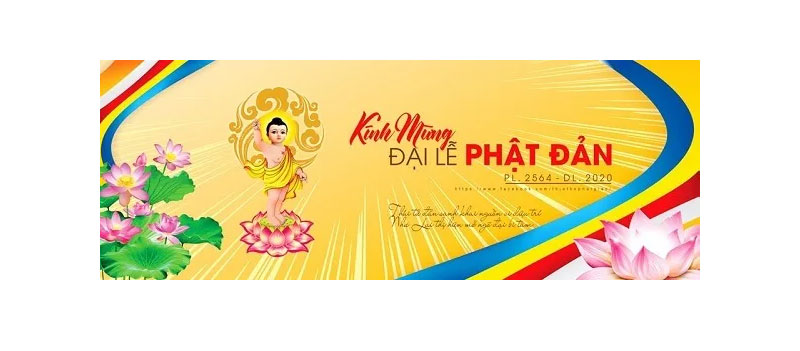 mau-bang-ron-phat-dan-1
