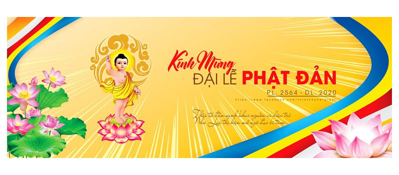 mau-bang-ron-phat-dan-4