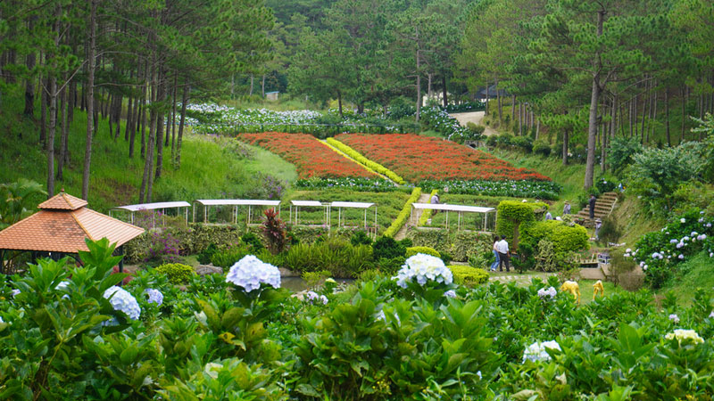 da-lat-thang-6
