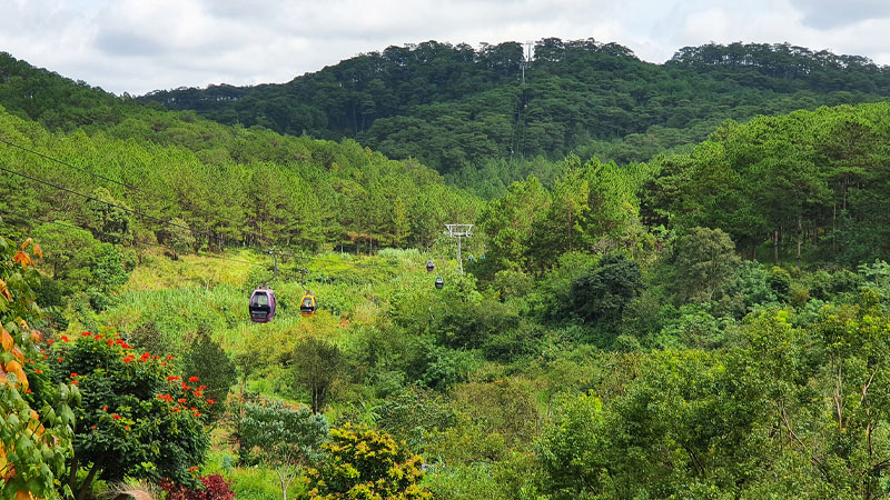 du-lich-da-lat-mua-thu-3