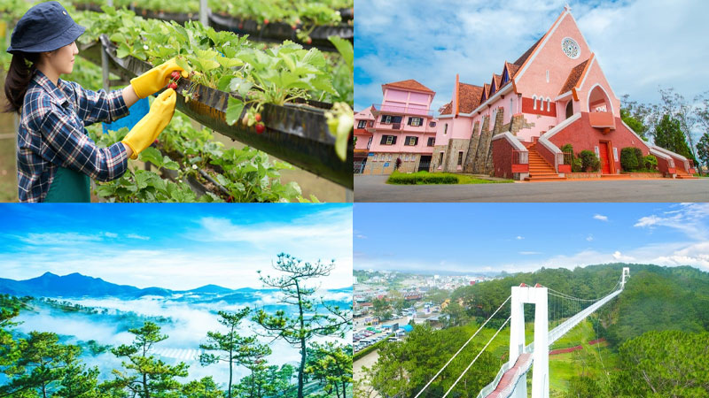 tour-da-lat-4-ngay-3-dem-vietravel-4