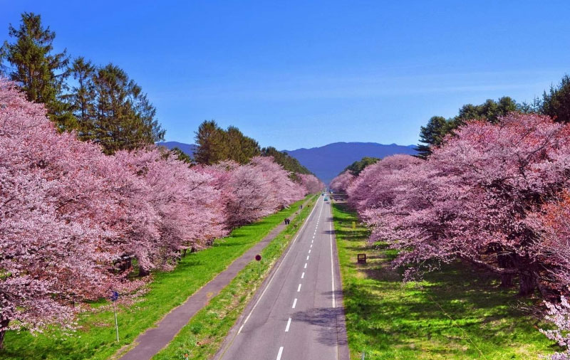 tour-da-lat-nha-trang-3-ngay-2-dem-1