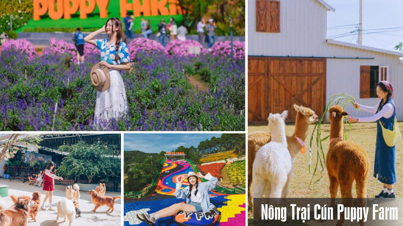 tour-sai-gon-da-lat-1