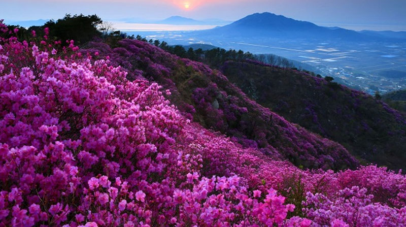 da-lat-thang-7-12