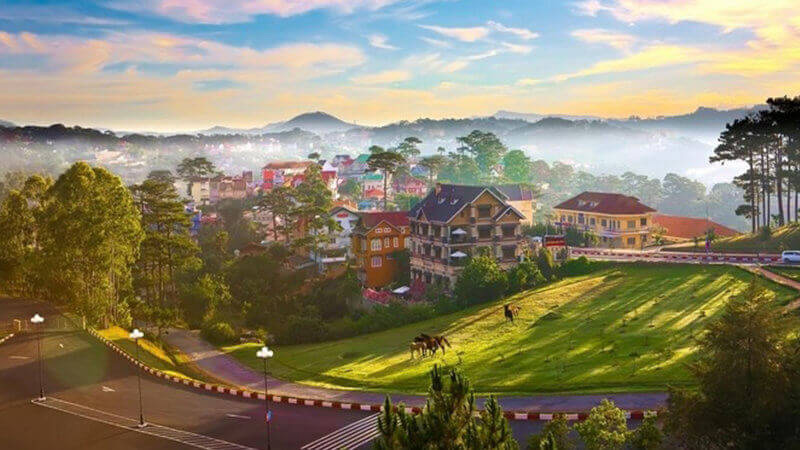 da-lat-thang-8