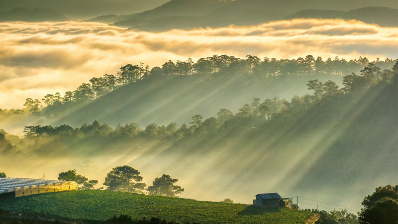 thoi-tiet-da-lat-thang-7