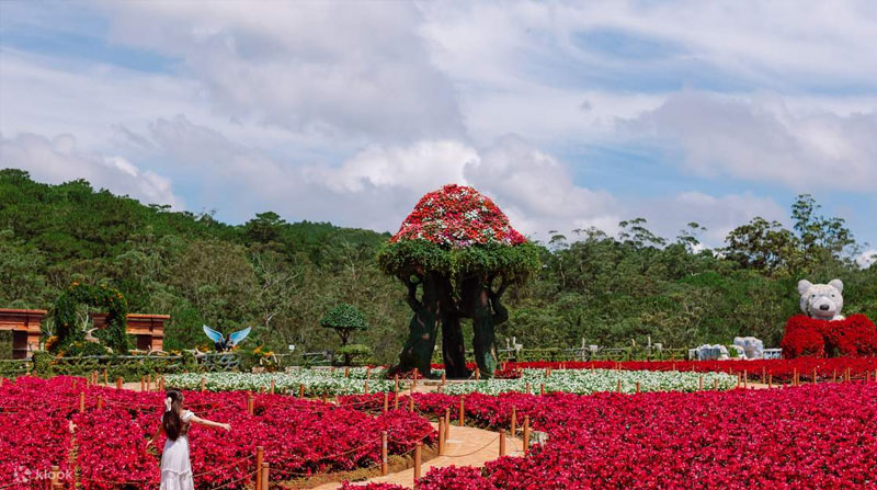 tour-da-lat-4-ngay-3-dem-saigontourist-1