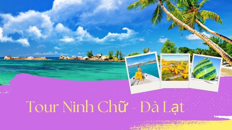 tour-ninh-chu-da-lat