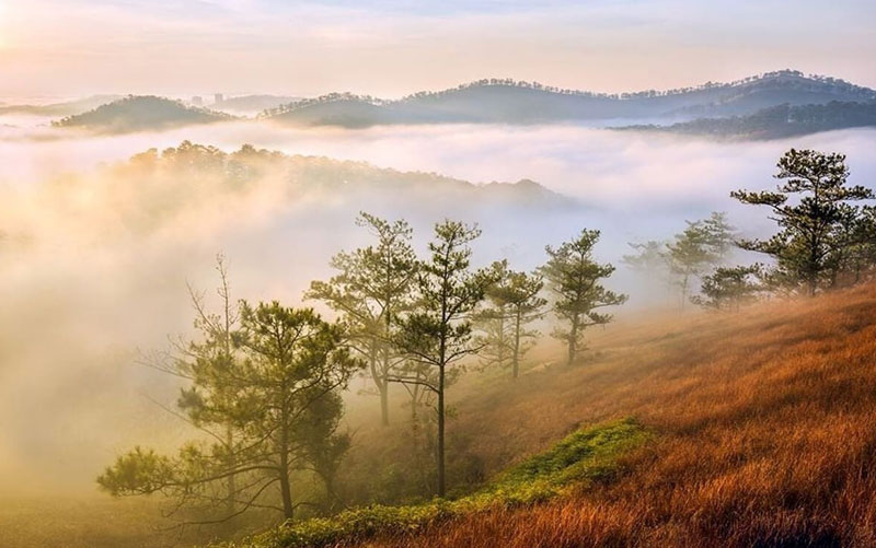 doi-da-phu-3