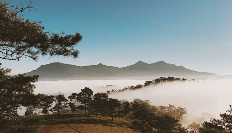 doi-da-phu