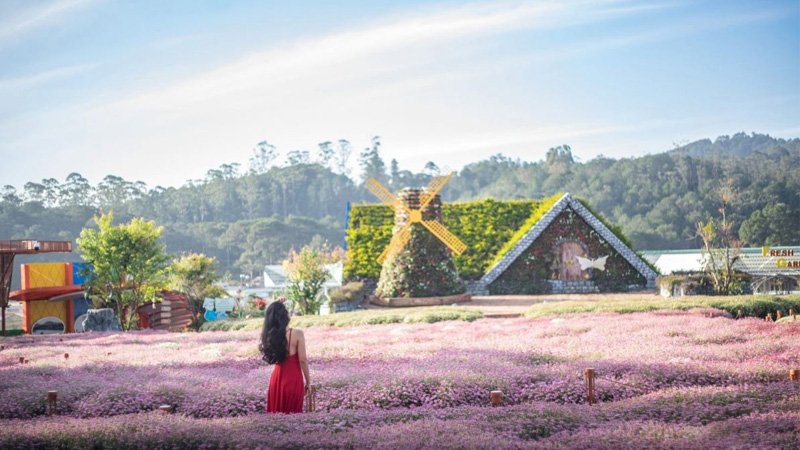tour-da-lat-3-ngay-2-dem-saigontourist