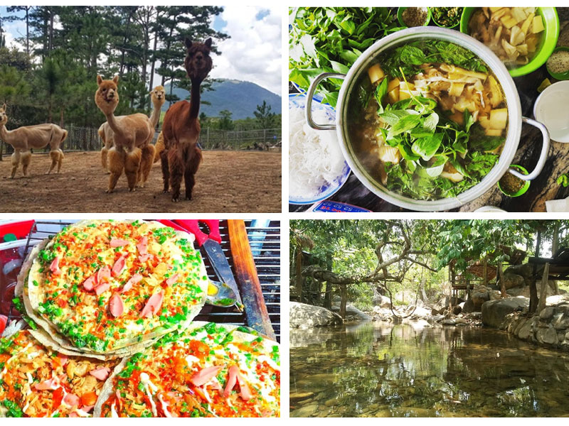 Khám phá Đà Lạt – Vườn Thú ZooDoo và Suối Lách