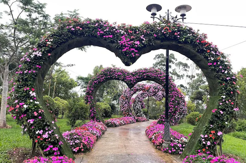 Khám phá vẻ đẹp bất tận tại Khu du lịch Vườn hoa Đà Lạt