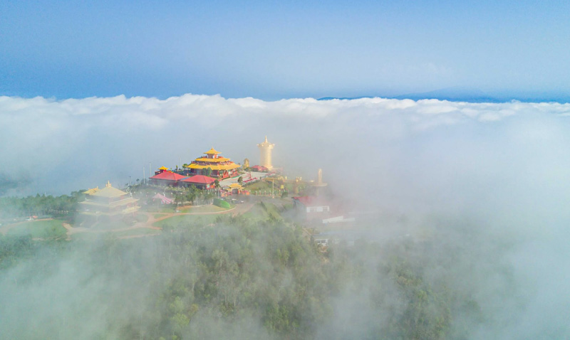Đi săn mây Đà Lạt