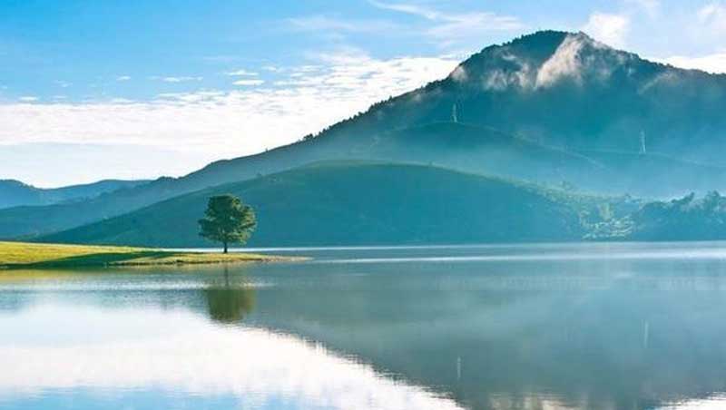 Thung Lũng Vàng Đà Lạt: điểm tham quan, cắm trại thơ mộng, giá vé rẻ