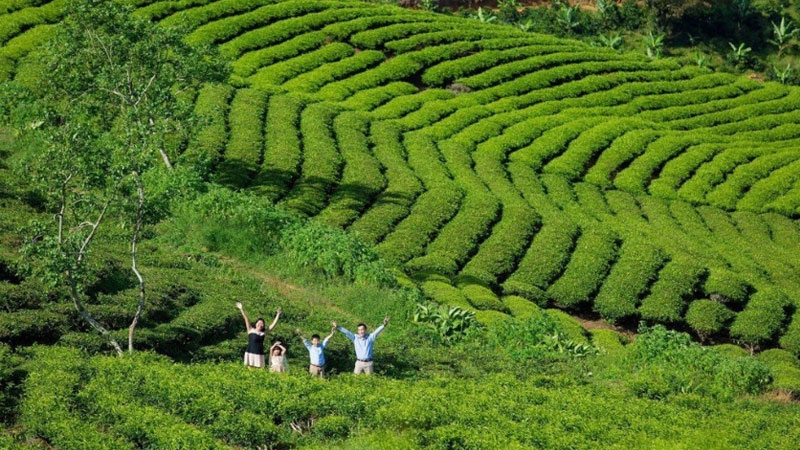 Trọn gói combo Hà Nội Đà Lạt 3 ngày 2 đêm giá rẻ nhất 2025