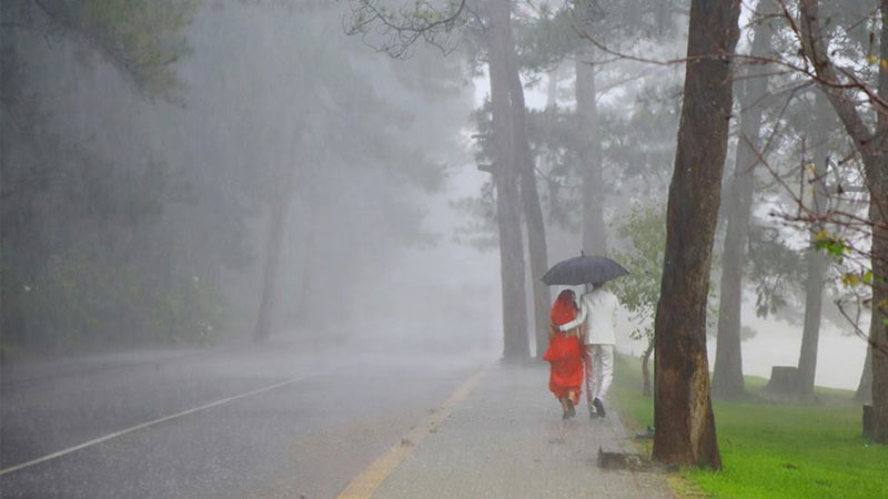 Đà Lạt tháng 11 có mưa không? Dự báo thời tiết Đà Lạt tháng 11 chi tiết