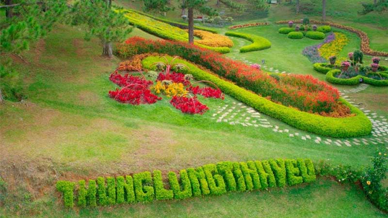 Kinh nghiệm du lịch Đà Lạt tháng 12 chi tiết dành cho du khách