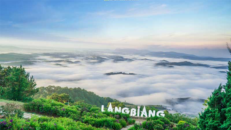 Kinh nghiệm du lịch Đà Lạt tháng 12 chi tiết dành cho du khách