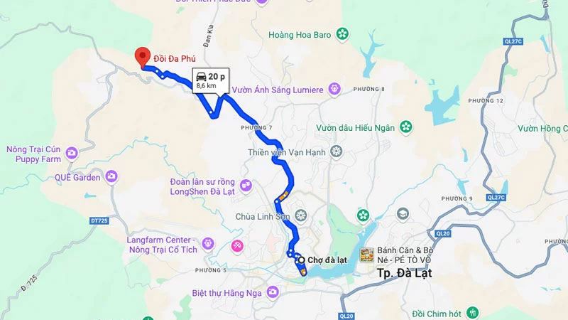 Khu du lịch Đồi Mây Đà Lạt: điểm săn mây, check in lý tưởng