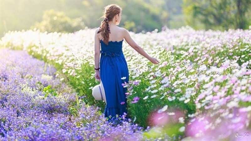 F cánh đồng hoa Đà Lạt: thức cà phê giữa ngàn hoa khoe sắc