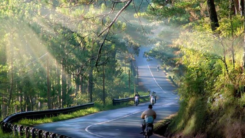 Kinh nghiệm phượt Đà Lạt: lịch trình, chi phí, cung đường và phương tiện