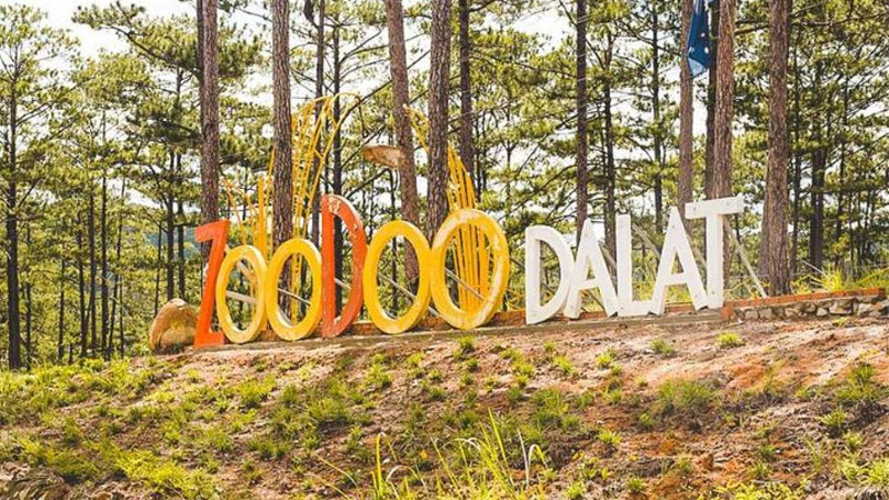 Tour Đà Lạt 1 ngày giá rẻ, trọn gói và chất lượng nhất 2025