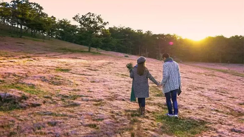 Tour Đà Lạt 1 ngày giá rẻ, trọn gói và chất lượng nhất 2025