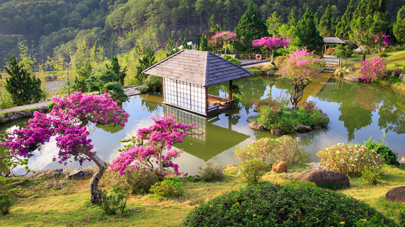 Tour Đà Lạt 1 ngày giá rẻ, trọn gói và chất lượng nhất 2025