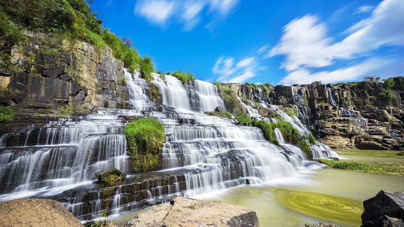 Tour Đà Lạt 1 ngày giá rẻ, trọn gói và chất lượng nhất 2025