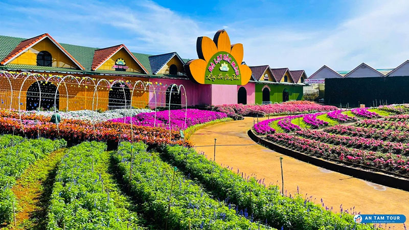 Tour Đà Lạt 2 ngày 1 đêm trọn gói tham quan, giá rẻ nhất