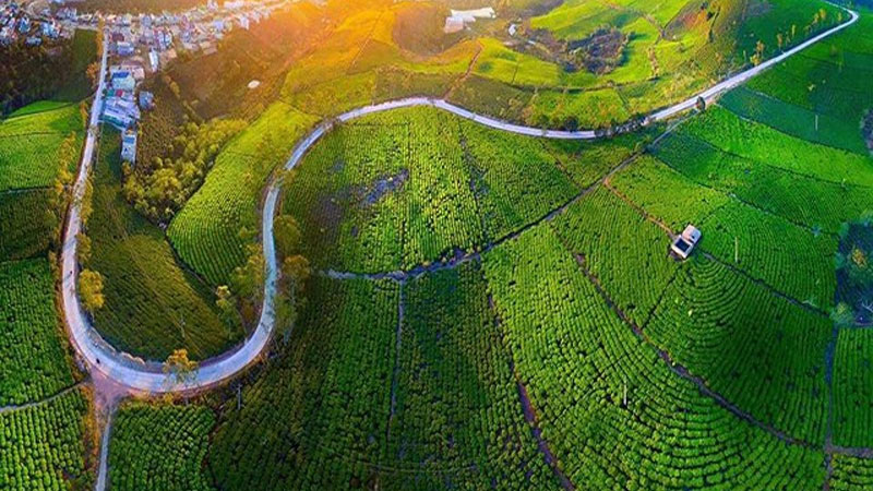 Tour Hà Nội Đà Lạt tham quan trọn gói, giá bán tốt nhất 2025